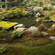 Illustration for article titled Bad Tourists Lead to Photography Ban at Japanese Temples